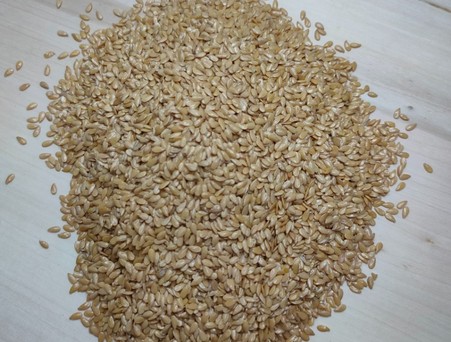 Семена льна белого (золотистого), 1 кг.