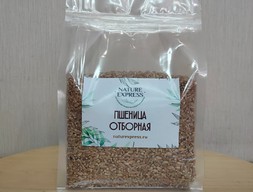 Пшеница отборная Алтайская для проращивания, 1 кг.