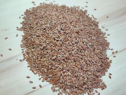 Семена льна коричневого, 5 кг.